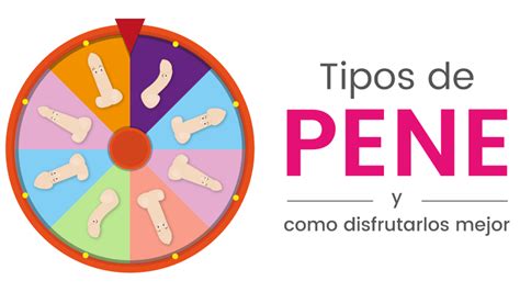 Tipos De Penes: Imágenes Reales • TIPOSDE